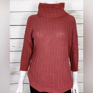 Express Womens Turtleneck Knit Sweater.